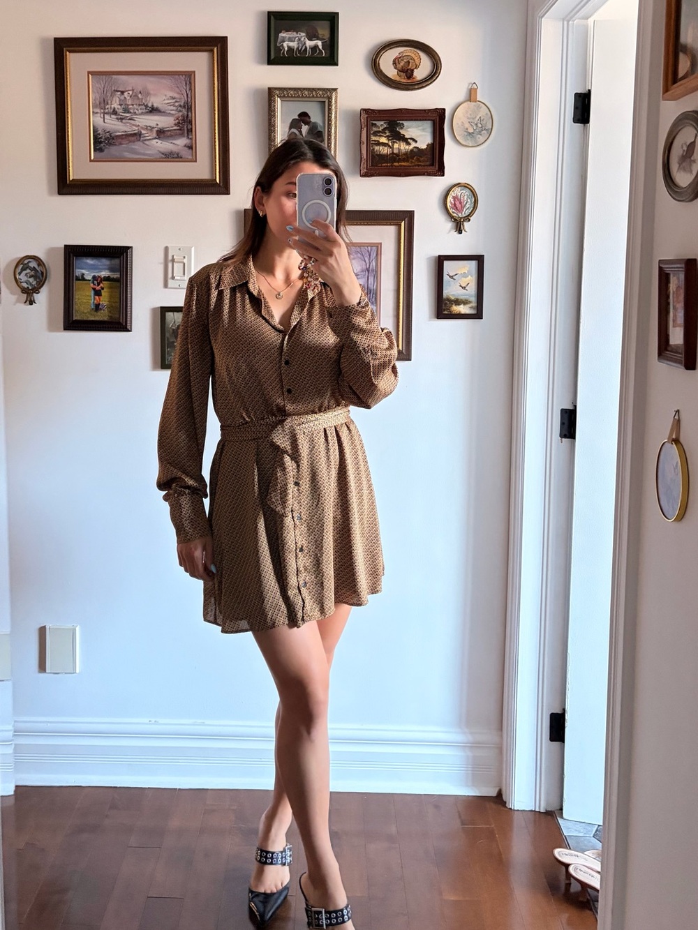 Zara Brown Printed Long-Sleeve Mini Dress with Self-Tie Waist